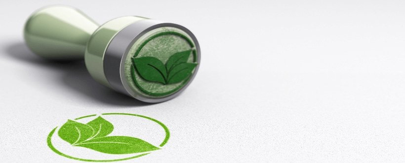 Come può la tua azienda proteggere l’ambiente?