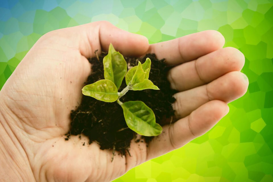Tutela dell’ambiente: Cos’è un prodotto sostenibile?