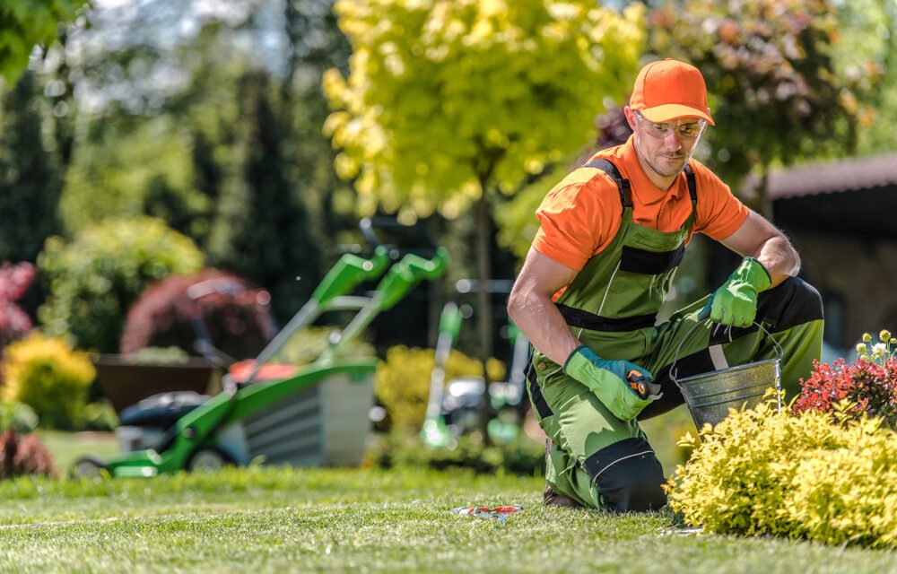 6 suggerimenti su come gestire un’attività di giardinaggio